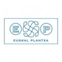 Euskal Plantxa